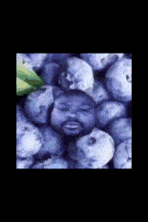 a man with a beard is surrounded by a bunch of grapes