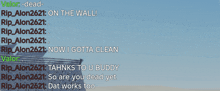 a screenshot of a video chat with the name valor dead