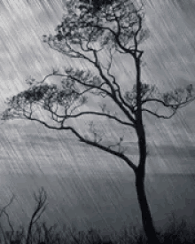 Rain Falling Animation GIFs | Tenor