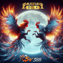 two roosters are fighting in front of a full moon in a poster for museum bola