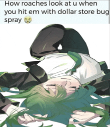 a picture of a girl with green hair and a caption that says how roaches look at u