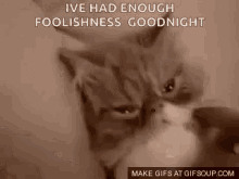 Face Palm Cats GIF - Face Palm Cats Enough For Today GIFs