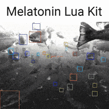 a black and white photo of fish with the words melatonin lua kit on top