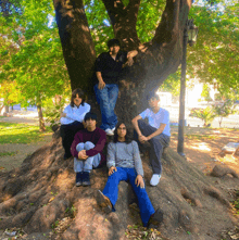a group of people sitting on a tree trunk in a park