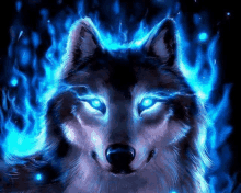 Cool Wolf GIF - Cool Wolf GIFs