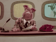 muppet show muppets news anchor newsman pig