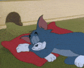 a cartoon cat is laying on a red pillow on the floor