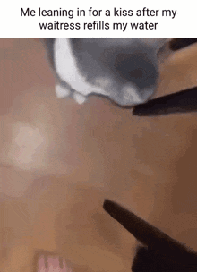 Cat Silly Cat GIF - Cat Silly Cat Cat Stare GIFs