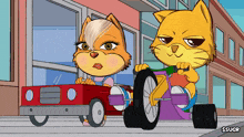 a cartoon of two cats driving a red car and a purple tricycle with $sugr written on the bottom