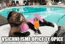 Opice GIF - Opice GIFs