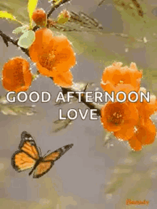 Good Afternoon Sparkles GIF - Good Afternoon Sparkles Flowers GIFs