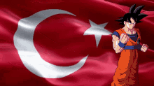 Turkey Goku Goku GIF