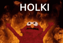 Holki Mrtki GIF - Holki Mrtki Elmo Fire GIFs