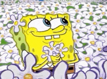 spongebob squarepants is sitting in a field of flowers holding a flower .