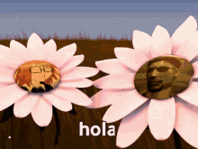 Hola Hola Flower GIF - Hola Hola Flower Flower GIFs