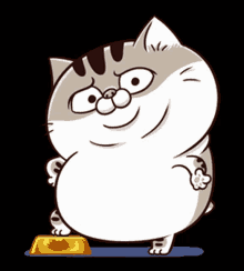 Ami Fat Cat Fgcat GIF - Ami Fat Cat Fgcat Chonk GIFs