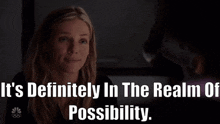 Chicago Pd Hailey Upton GIF - Chicago Pd Hailey Upton Its Definitely In The Realm Of Possibility GIFs