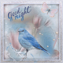 Good Night Blue Bird GIF - Good Night Blue Bird Bird GIFs