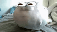 a stuffed animal that looks like a seal with big eyes