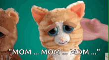 Scary Cat GIF - Scary Cat Stuffed Toy GIFs