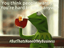 want you kermit hard youre hard to want none of my business