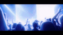 a crowd of people with their arms in the air at a concert
