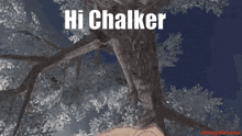 Hello Chat Chalker GIF - Hello Chat Chalker Albedo GIFs