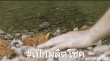 a person 's hand is touching a rock near a body of water with # judleklek702 written on the bottom
