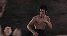 Bruce Lee Martial Arts GIF - Bruce Lee Martial Arts Ip Man GIFs