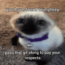Humphrey Yellow44 GIF