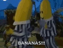 Bananas Dance GIF - Bananas Dance Dancing GIFs