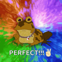 perfect stoned frog psychedelic trippy