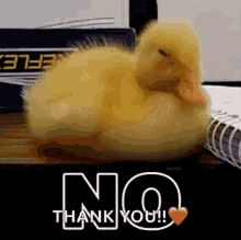 Nope Duck GIF - Nope Duck No Way GIFs