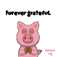 a pig with its eyes closed and the words forever grateful