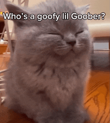 a cat with its eyes closed and the words who 's a goofy lil goober