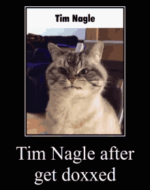 tim nagle cat angry dox