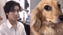 a man is getting his hair done next to a dog that looks like him .