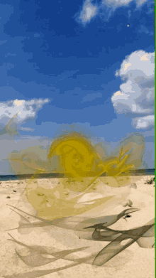 Beach Sun GIF - Beach Sun GIFs