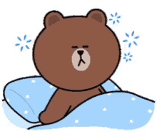 brown bear sleepy just woke up