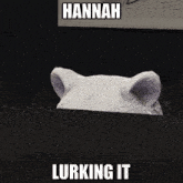 a picture of a polar bear with the words hannah lurking it below it