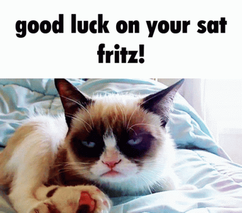 Grumpy Cat Saying Good GIFs | Tenor