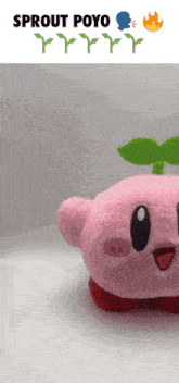 a pink stuffed animal with a green leaf on its head and the words sprout payo below it