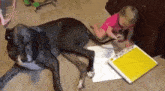 Paint Paint Brush GIF - Paint Paint Brush Dog GIFs