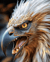 a close up of an eagle 's head with its mouth open