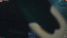 a computer screen with the gif war written on the bottom
