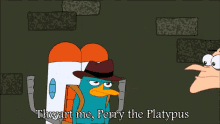 perry the platypus phineas and ferb thwart me stop me