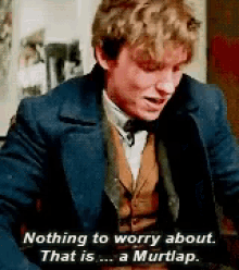 Fantastic Beasts Fantastic Beasts And Where To Find Them GIF - Fantastic Beasts Fantastic Beasts And Where To Find Them Nothing To Worry About GIFs