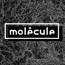 Party Molecule GIF - Party Molecule GIFs