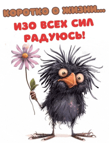 a cartoon bird is holding a flower and says " коротко о жизни " on the top
