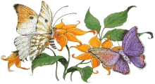 Butterfly Flowers GIF - Butterfly Flowers GIFs